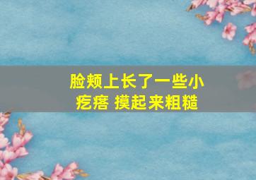 脸颊上长了一些小疙瘩 摸起来粗糙